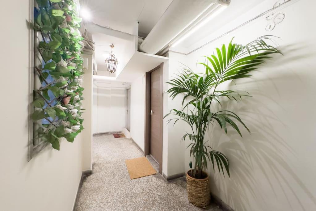 Elegant Athens Downtown Studio מראה חיצוני תמונה